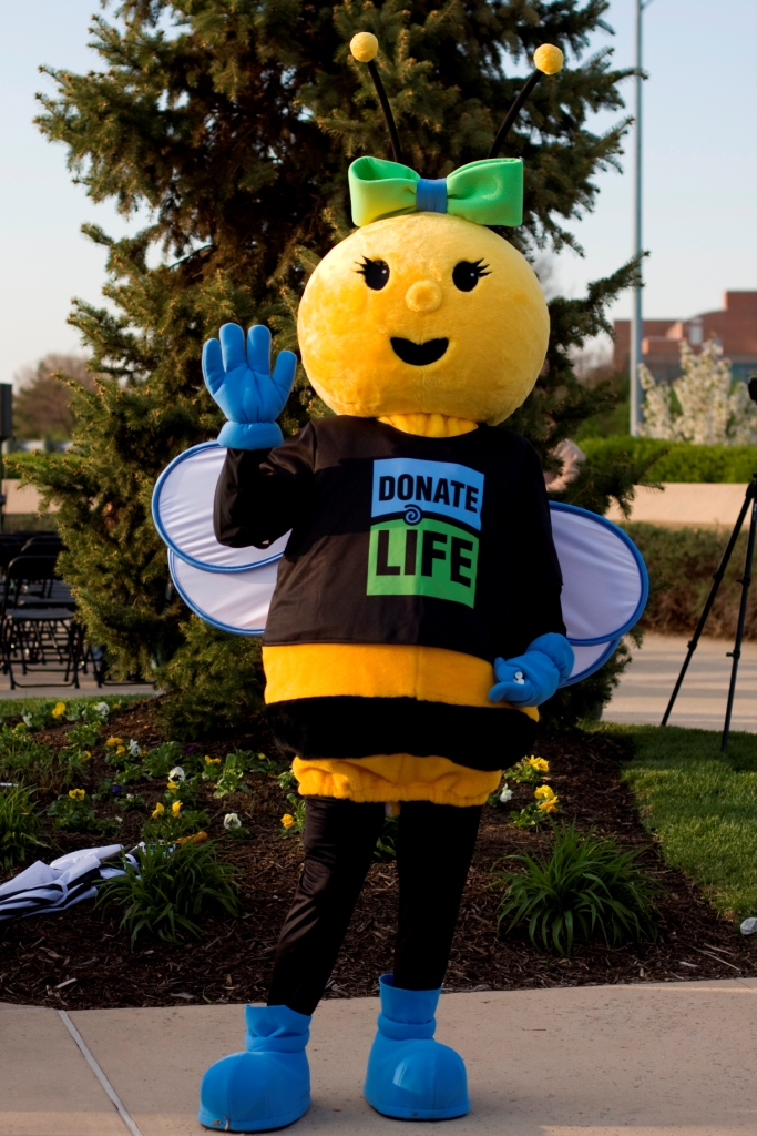 Lifeline of Ohio Meet Honey Bee! Lifeline of Ohio