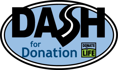 DASH 2010