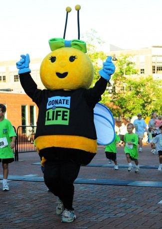Honey Runs
